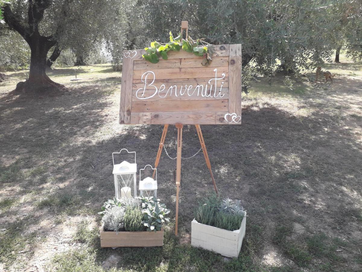 Agriturismo Fonteregia Монтекатіні-Терме Екстер'єр фото